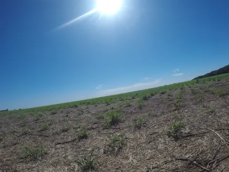 Comprar Rural / Fazenda em Fronteira R$ 11.000.000,00 - Foto 5