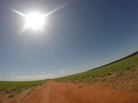 Comprar Rural / Fazenda em Fronteira R$ 11.000.000,00 - Foto 8