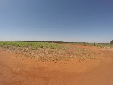 Comprar Rural / Fazenda em Fronteira R$ 11.000.000,00 - Foto 9