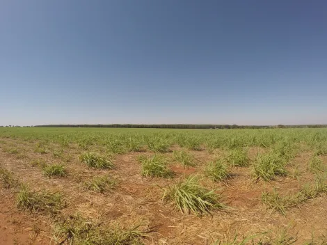 Comprar Rural / Fazenda em Fronteira R$ 11.000.000,00 - Foto 10