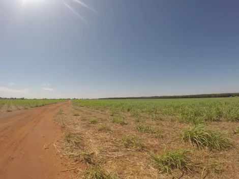 Comprar Rural / Fazenda em Fronteira R$ 11.000.000,00 - Foto 11
