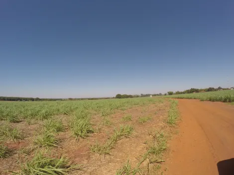 Comprar Rural / Fazenda em Fronteira R$ 11.000.000,00 - Foto 15