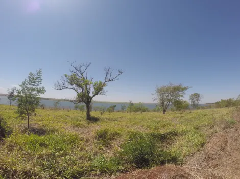 Comprar Rural / Fazenda em Fronteira R$ 11.000.000,00 - Foto 26