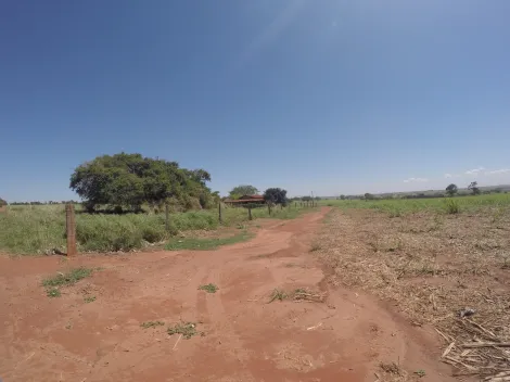 Comprar Rural / Fazenda em Fronteira R$ 11.000.000,00 - Foto 28
