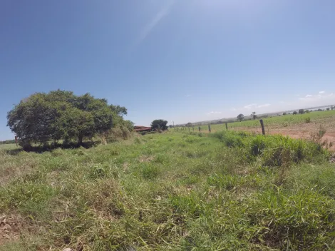 Comprar Rural / Fazenda em Fronteira R$ 11.000.000,00 - Foto 29