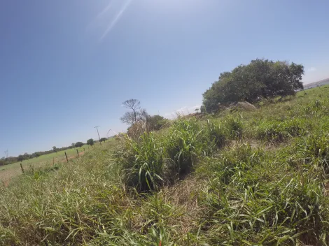 Comprar Rural / Fazenda em Fronteira R$ 11.000.000,00 - Foto 30