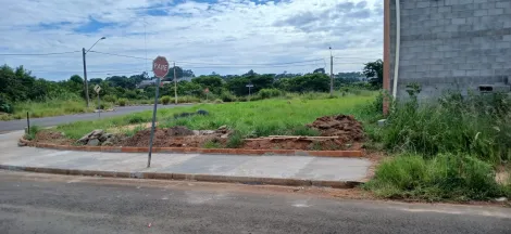 Comprar Terreno / Padr&atilde;o em S&atilde;o Jos&eacute; do Rio Preto - Foto 3