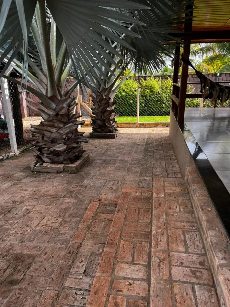 Comprar Rural / Rancho em Sales R$ 300.000,00 - Foto 13