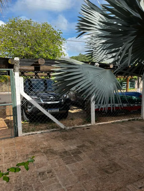 Comprar Rural / Rancho em Sales R$ 300.000,00 - Foto 17