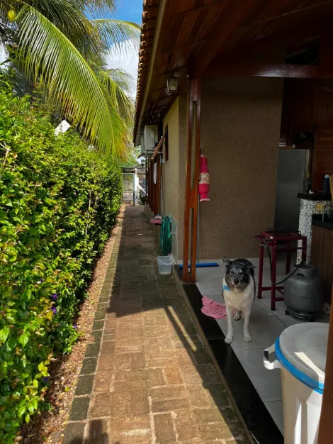 Comprar Rural / Rancho em Sales R$ 300.000,00 - Foto 14