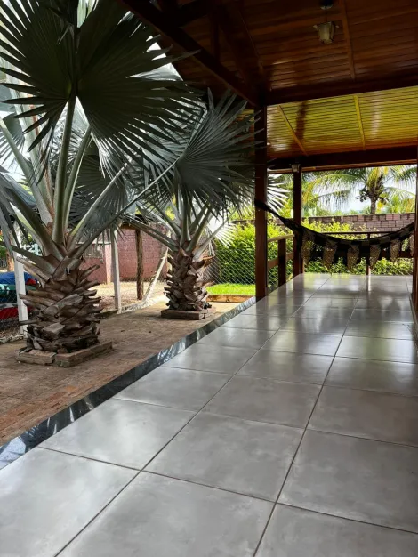 Comprar Rural / Rancho em Sales R$ 300.000,00 - Foto 6