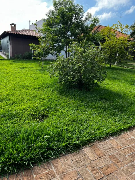 Comprar Rural / Rancho em Sales R$ 300.000,00 - Foto 18