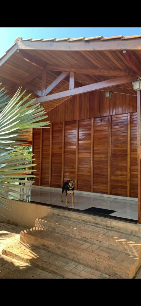 Comprar Rural / Rancho em Sales R$ 300.000,00 - Foto 19