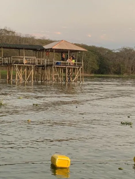 Comprar Rural / Rancho em Sales R$ 300.000,00 - Foto 21