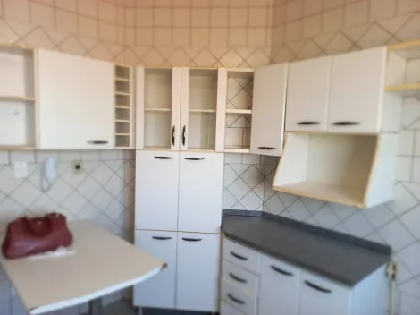 Apartamento / Padr&atilde;o em S&atilde;o Jos&eacute; do Rio Preto 
