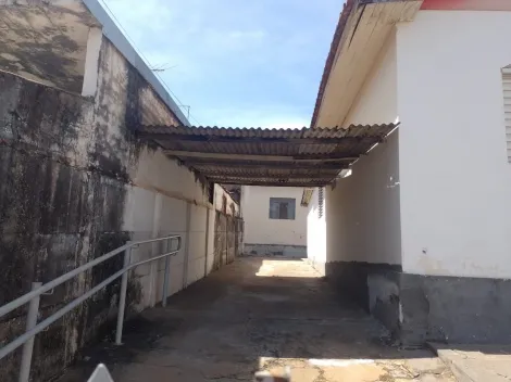 Alugar Casa / Padr&atilde;o em S&atilde;o Jos&eacute; do Rio Preto. apenas R$ 300.000,00