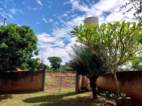 Comprar Rural / Rancho em Fronteira R$ 250.000,00 - Foto 4