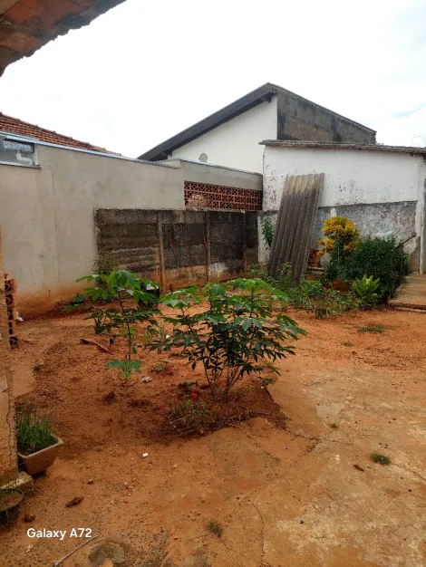 Terreno / Padr&atilde;o em S&atilde;o Jos&eacute; do Rio Preto 