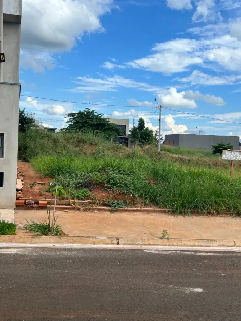 Alugar Terreno / Padr&atilde;o em S&atilde;o Jos&eacute; do Rio Preto. apenas R$ 160.000,00