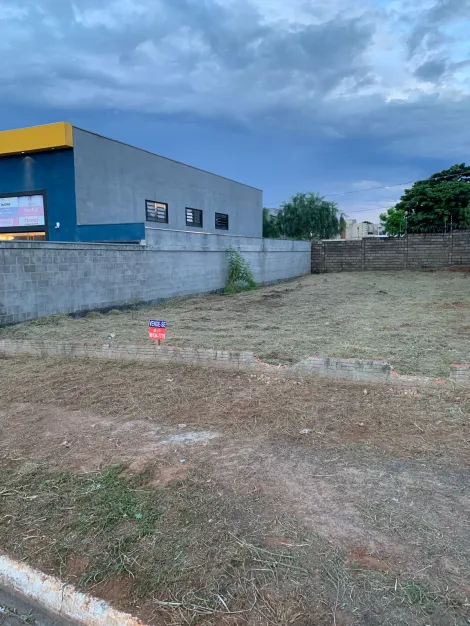 Comprar Terreno / Padr&atilde;o em Mirassol R$ 490.000,00 - Foto 3