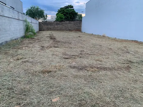 Comprar Terreno / Padr&atilde;o em Mirassol R$ 490.000,00 - Foto 4