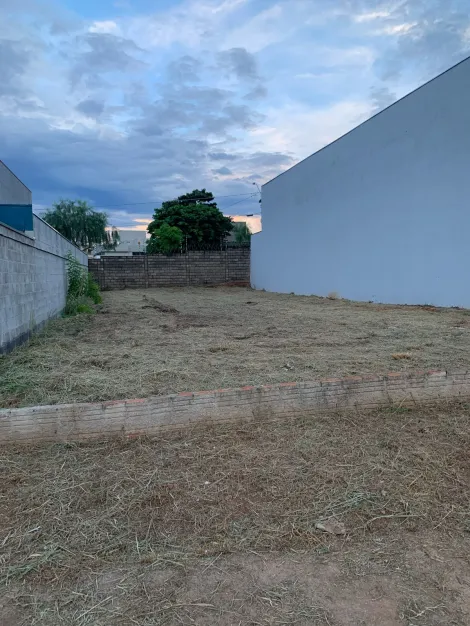 Comprar Terreno / Padr&atilde;o em Mirassol R$ 490.000,00 - Foto 5