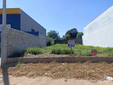 Terreno / Padr&atilde;o em Mirassol 