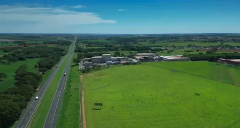 Comprar Terreno / &Aacute;rea em Cedral - Foto 3