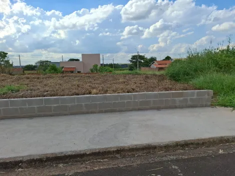 Alugar Terreno / Padr&atilde;o em S&atilde;o Jos&eacute; do Rio Preto. apenas R$ 100.000,00