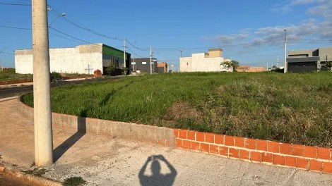 Terreno / Padr&atilde;o em S&atilde;o Jos&eacute; do Rio Preto 