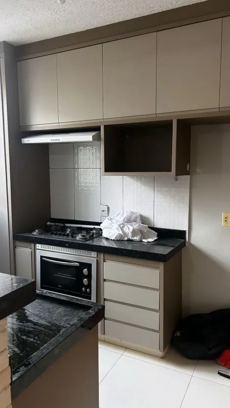 Alugar Apartamento / Padr&atilde;o em S&atilde;o Jos&eacute; do Rio Preto R$ 1.300,00 - Foto 13