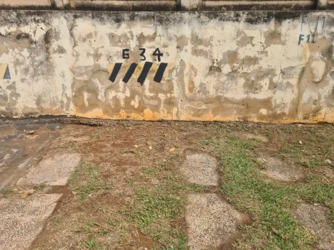 Alugar Apartamento / Padr&atilde;o em S&atilde;o Jos&eacute; do Rio Preto R$ 800,00 - Foto 21