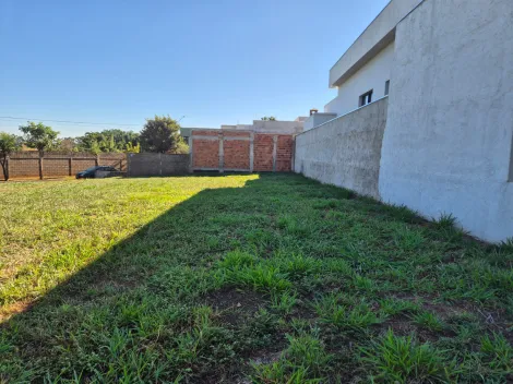 Comprar Terreno / Condom&iacute;nio em Bady Bassitt R$ 300.000,00 - Foto 2
