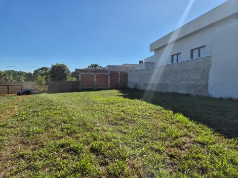Comprar Terreno / Condom&iacute;nio em Bady Bassitt R$ 300.000,00 - Foto 3