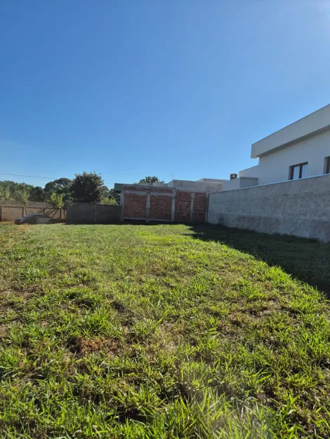 Comprar Terreno / Condom&iacute;nio em Bady Bassitt R$ 300.000,00 - Foto 4