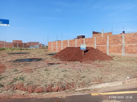 Terreno / Padr&atilde;o em S&atilde;o Jos&eacute; do Rio Preto 