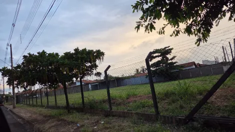 Comprar Terreno / &Aacute;rea em Votuporanga R$ 1.350.000,00 - Foto 2