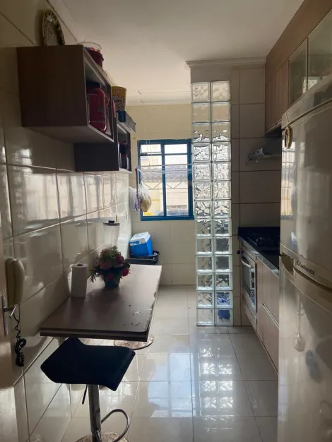 Alugar Apartamento / Padr&atilde;o em S&atilde;o Jos&eacute; do Rio Preto R$ 1.600,00 - Foto 3