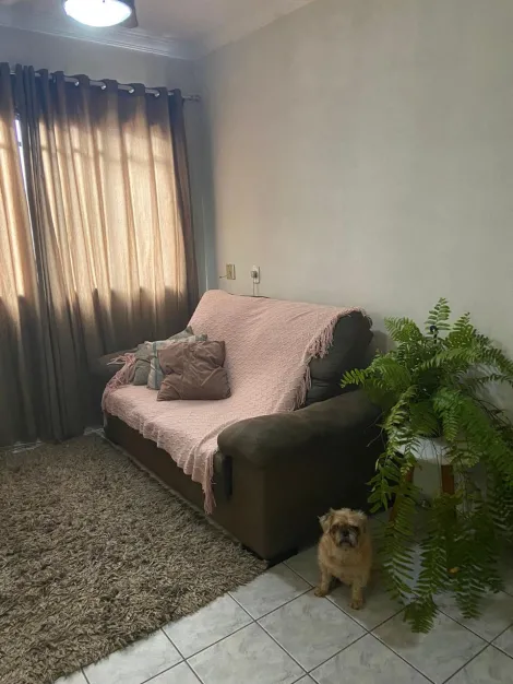 Alugar Apartamento / Padr&atilde;o em S&atilde;o Jos&eacute; do Rio Preto R$ 1.600,00 - Foto 13
