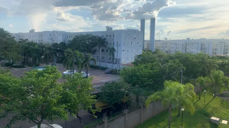 Apartamento / Padr&atilde;o em S&atilde;o Jos&eacute; do Rio Preto 