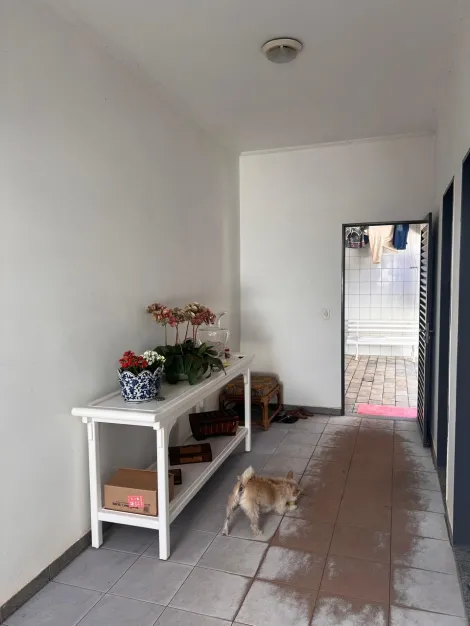 Alugar Casa / Padr&atilde;o em S&atilde;o Jos&eacute; do Rio Preto R$ 5.000,00 - Foto 19