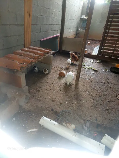 Comprar Comercial / Pr&eacute;dio Inteiro em S&atilde;o Jos&eacute; do Rio Preto R$ 2.200.000,00 - Foto 20