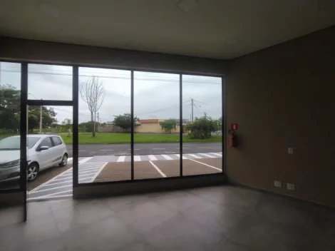 Alugar Comercial / Sala em S&atilde;o Jos&eacute; do Rio Preto R$ 1.550,00 - Foto 5