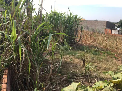 Comprar Terreno / Padr&atilde;o em S&atilde;o Jos&eacute; do Rio Preto R$ 200.000,00 - Foto 8