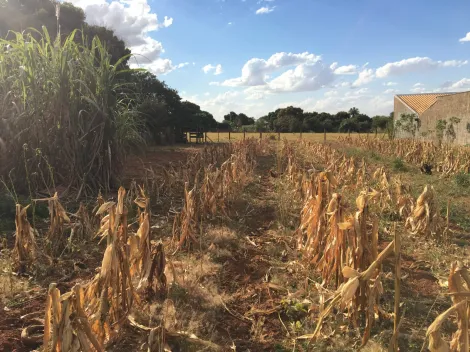 Comprar Terreno / Padr&atilde;o em S&atilde;o Jos&eacute; do Rio Preto R$ 200.000,00 - Foto 5