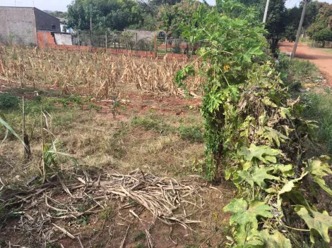 Comprar Terreno / Padr&atilde;o em S&atilde;o Jos&eacute; do Rio Preto R$ 200.000,00 - Foto 7