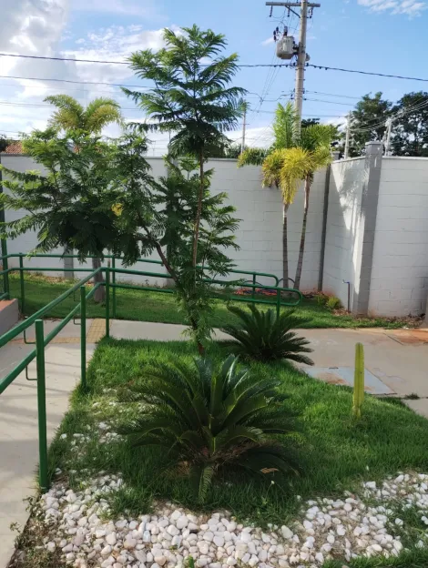 Comprar Apartamento / Padr&atilde;o em S&atilde;o Jos&eacute; do Rio Preto R$ 275.000,00 - Foto 20