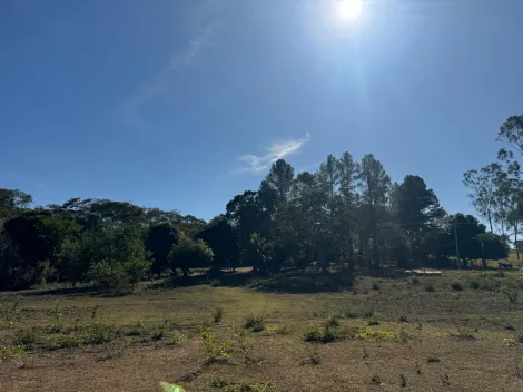 Comprar Rural / S&iacute;tio em Ol&iacute;mpia R$ 720.000,00 - Foto 10