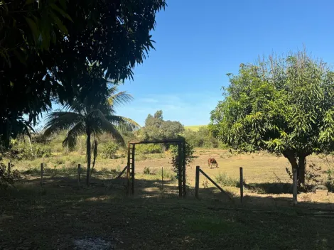 Comprar Rural / S&iacute;tio em Ol&iacute;mpia R$ 720.000,00 - Foto 38