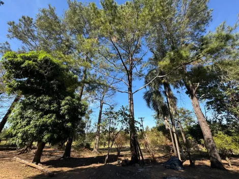 Comprar Rural / S&iacute;tio em Ol&iacute;mpia R$ 720.000,00 - Foto 46
